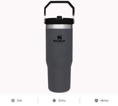 STAN 30OZ CLASSIC FLIP STRAW TUMB